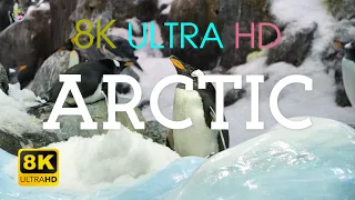 Arctic North Pole in 4K and 8K Video Ultra HD 60FPS HDR, Arctic 8K Relaxation Film