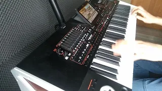Lian Ross - Say You'll Never cover Korg Pa4x