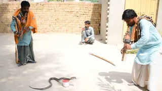 Naag Jogi  | Ustad Muhammad Safdar Jogi | Fiaz Jogi | Nagin Nag dance | Catching Snake been