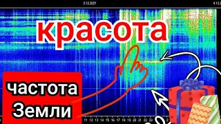 Супер графики в Томске, разбор графиков Резонанса Шумана из разных стран за 3.12.2021 и 4.12.2021год