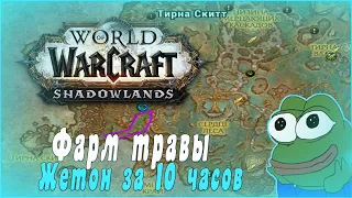 ☘️ЛУЧШИЙ СПОСОБ ФАРМА ГОЛДА! 🔝ЖЕТОН ЗА 10 ЧАСОВ. World of Warcraft Shadowlands 9.0.5.
