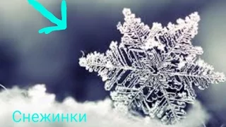 Как выглядят снежинки под микроскопом?