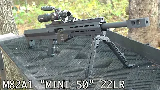 THE "MINI 50" 22LR