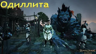 Black desert Одиллита Колючий лес 7200+ striker BDO