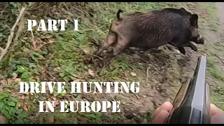Driven Hunt In Europe - Part 1 (France, Belgium, Sweden, NO, LV, LT & EE) V313