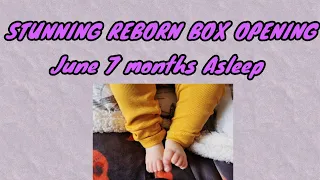 STUNNING REBORN BOX OPENING | June 7 months Asleep