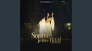 Soniye Je Tere Naal