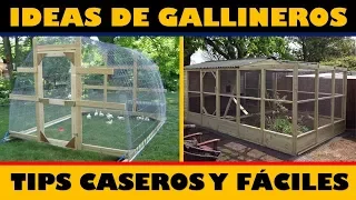 Las Mejores Ideas para hacer Gallineros + Tips Caseros