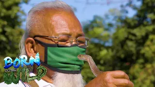 Born to be Wild: Tatay Val, the ‘Cobra King’ of Alaminos, Pangasinan