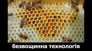 Без вощинна технологія