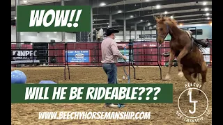 WOW!! Will he be Rideable!!