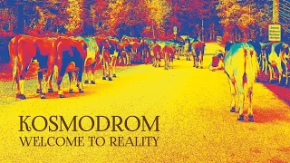 Kosmodrom - Welcome To Reality (2023) [Full Album]