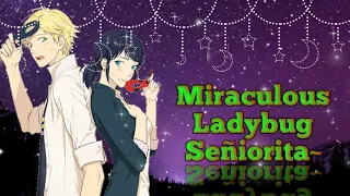 AMV ~ Miraculous Ladybug ~ Señorita ~ Ships