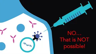 How do mRNA vaccines work and can they alter my DNA?