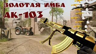 Пиратский варфейс 2020 золотой ак-103