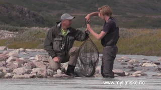 Arctic char in Greenland. Grønland  røyefiske