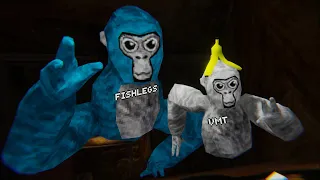 The Return Of Fishlegs | Gorilla Tag VR
