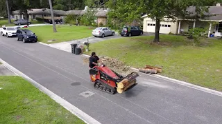 DEAD PINE REMOVAL / BUCKET TRUCK /DJI MAVIC MINI DRONE