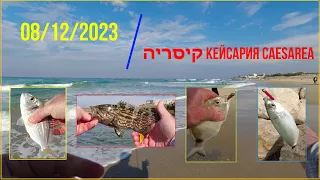 4K 08/12/2023 Caesarea Кейсария קיסריה דיג рыбалка fishing