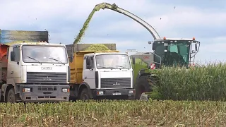 Уборка кукурузы на силос CLAAS Jaguar 870