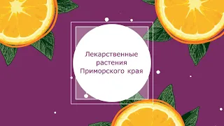 Лекарственные растения Приморского края