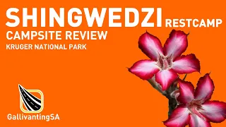 A review on Shingwedzi Restcamp in the Kruger National Park - November 2023