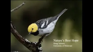 Doug Tallamy Presents His NYT Best Seller "Nature's Best Hope":  Restoring Habitat In Every Yard