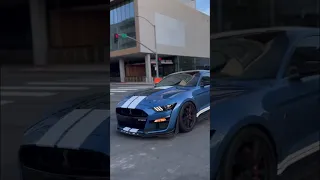 Shelby GT500 Rolling 🏎️