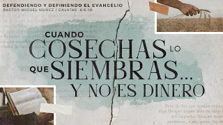 Cuando cosechas lo que siembras... y no es dinero - Pastor Miguel Núñez | La IBI