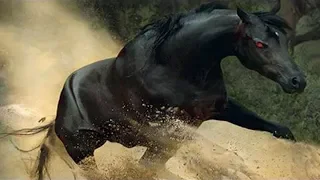 15 Most Incredible Horse Breeds In The World!