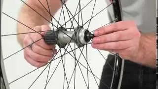 How to service your Shimano hubs