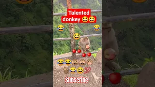 talented donkey 😆😆#shorts #youtubeshorts #youtube