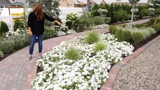 Tour of Our West Side Moon Garden 🌿// Garden Answer