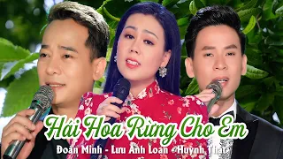 Hái Hoa Rừng Cho Em - Hỏi Anh Hỏi Em | Đoàn Minh - Lưu Ánh Loan - Huỳnh Thật