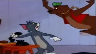 Tom and Jerry - down beat bear