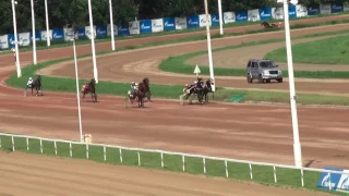 Московский ипподром. Бега. 16.07.17. Заезды 6/11(389). ПРИЗ ЭЛИТЫ