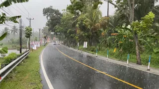 Super Heavy Rain and Super Loud Lightning on a Beautiful and Busy Street | Rain Sounds For Insomnia