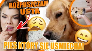 Koniec z USTAMI?! na zawsze? | TEGO NIKT NIE POKAZUJE... Kulisy mycia Golden Retrievera... #350