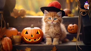 Autumn Calming Music for Anxious Cats: Soothing Sounds for Deep Relaxation and Sleep for Cats #3