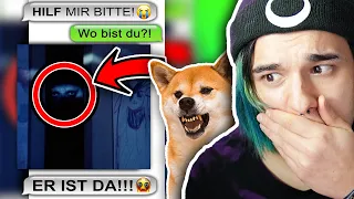 Horror WhatsApp Chat mit Hund Mamiko!