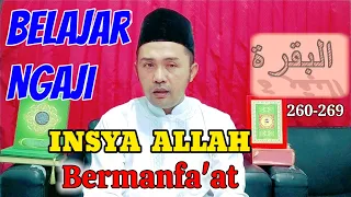 Surat Al-Baqarah ayat 260-269 ✓ Ngajinya Pemula // RN Channel