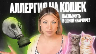 АЛЛЕРГИЯ НА КОШЕК. 4 ПРАВИЛА ДЛЯ КОМФОРТНОЙ ЖИЗНИ В ОДНОЙ КВАРТИРЕ. НАШ ОПЫТ.