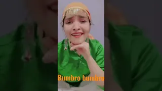 #paharigirl #bumbrobumbro #shorts #youtubeshorts #rubiholic #trending