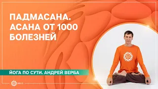 Падмасана. Асана от 1000 болезней. Андрей Верба