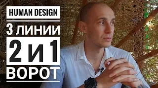 Дизайн Человека 2 и 1 ворота. 3 линии Даниил Трофимов. Human Design