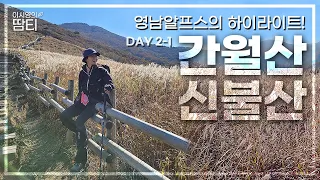 🌾영남알프스 Day 2-1ㅣ영남알프스의 하이라이트!! 눈앞에 황금빛 억새가 끊임없이 펼쳐졌던 간월산과 신불산😍