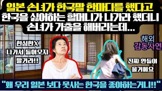 일본 손녀가 한국말 한마디 했다고 한국을 싫어하는 할머니가 나가라 했더니 손녀는 가출을 해버리는데...