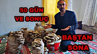 50 GÜN EVDE İSTİRİDYE MANTARI YETİŞTİRME TÜM BİLGİLER~oyster mushroom at home