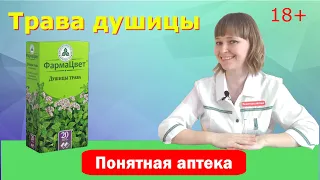 Душица: бронхит, ОРВИ, запор, метеоризм, гнойничковые заболевания кожи, диатез