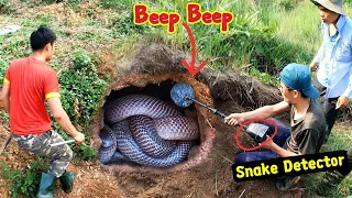 Snake Detector Sounds Beep Beep Indicate Girls Fights Many Snakes Hiding Underground | Mike Vlogs